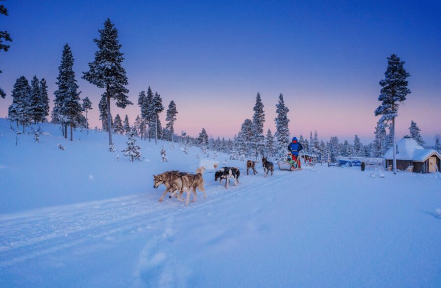 Saariselkä: Husky Safari with Aurora Borealis Hunt - Meeting the Dogs and Learning the Sled