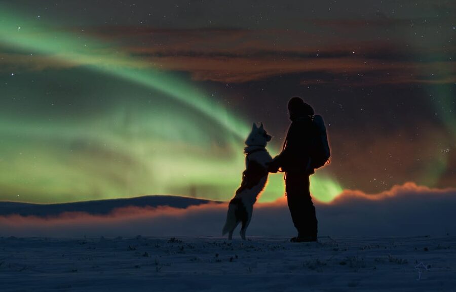 Saariselkä: Husky Safari with Aurora Borealis Hunt - Thermal Gear Before You Leave