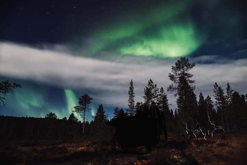 Saariselkä,Kakslauttanen: Aurora Hunting & Photography Tour. - Practical Details Before You Go