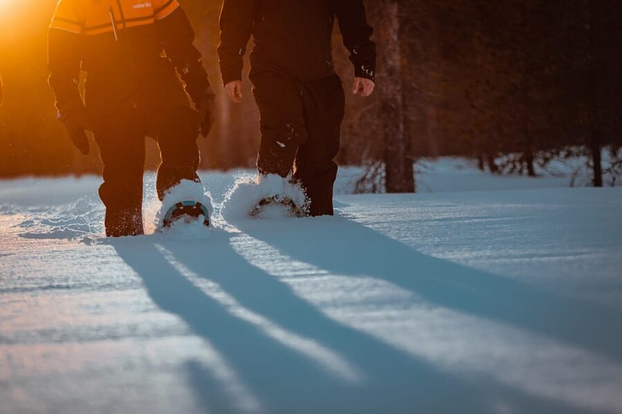 Saariselkä: Northern Lights Hunting Snowshoe Trip - Walking Into Saariselkä’s Quiet Winter Night