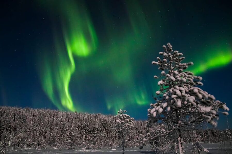 Saariselkä: Northern Lights Hunting Snowshoe Trip - Learning to Snowshoe Before the Forest Walk