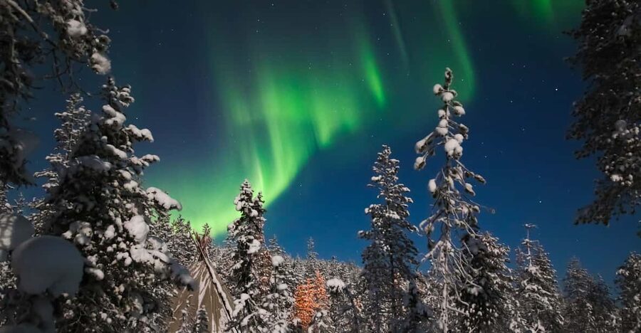 Saariselkä: Northern Lights Hunting Snowshoe Trip - Hot Chocolate Beneath the Open Sky