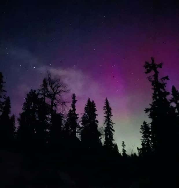 Sälen: Northern Lights Snowshoe Adventure with Pickup - Snowshoeing through Sweden’s winter quiet