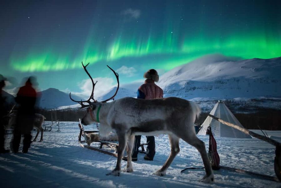 Sami Culture, Northern Lights & Reindeer Visit at Camp Tamok - From Tromsø harbor to Tamokdalen