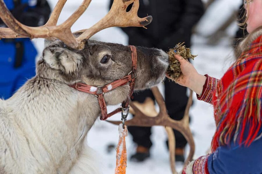 Sami Culture, Northern Lights & Reindeer Visit at Camp Tamok - Inside the lávvu beside the open fire