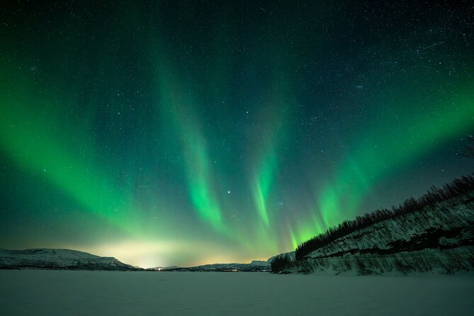Sami Reindeer Camp Visit and Aurora Wonder Night - Key points to know before booking