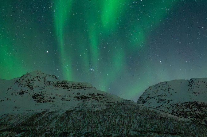 Sami Reindeer Camp Visit and Aurora Wonder Night - Following the clearest skies toward Skibotn