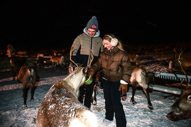 Sami Reindeer Camp Visit and Aurora Wonder Night - Is $199.73 a fair price?