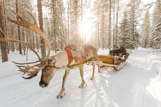Santa's Reindeer & Husky Safari + Aurora BBQ in Rovaniemi - Guides make a real difference