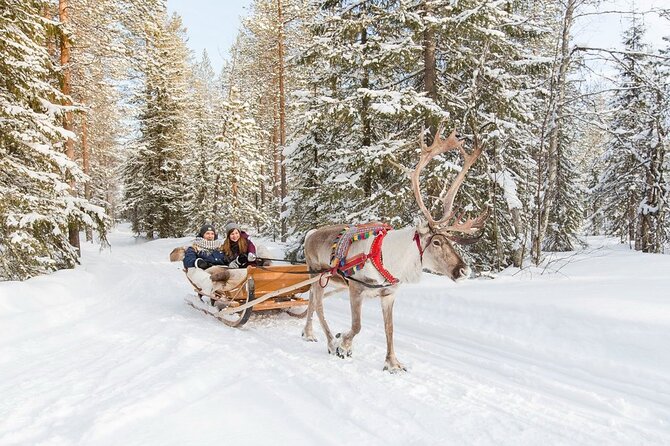 Santa's Reindeer & Husky Safari + Aurora BBQ in Rovaniemi - Is $289.04 good value?