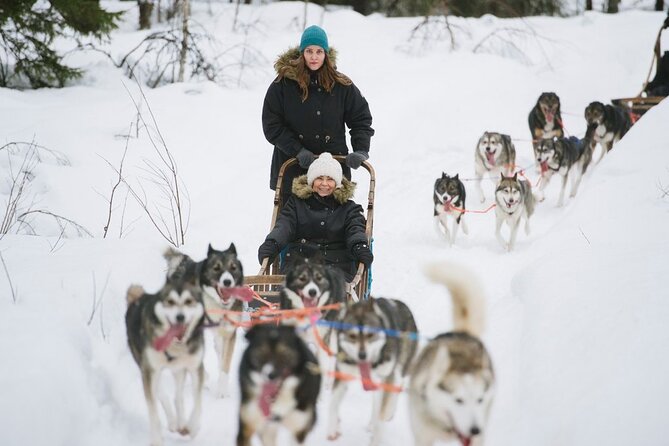 Santa's Reindeer & Husky Safari + Aurora BBQ in Rovaniemi - Who should book this experience?