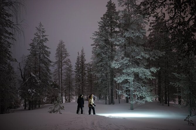 Ski Trekking under the Northern Lights - What the $141.78 price includes