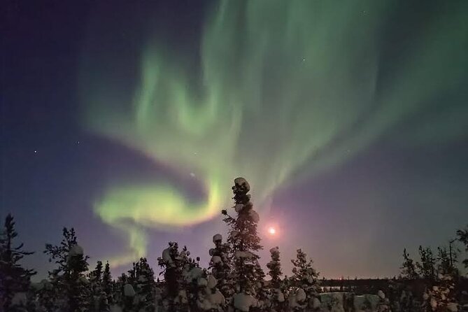 Skydome Aurora Viewing - Who Will Like This Aurora Tour?