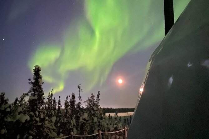 Skydome Aurora Viewing - The Cold Is Part of the Calculation