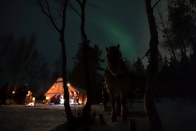 Sleigh ride Under The Northern Lights - Settling into the horse-drawn sleigh