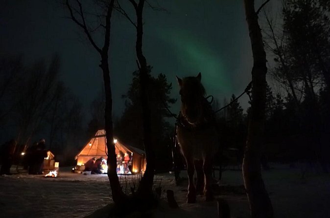 Sleigh ride Under The Northern Lights - The value of $321.96 per person