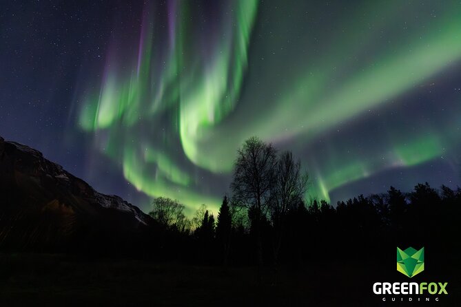Small group Aurora Chases - When the Sky becomes Magic - Waiting beneath the sky