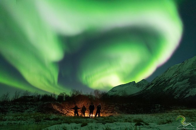 Small-Group Northern Lights Tour from Tromso with Photos - Taking pictures with the guide’s help