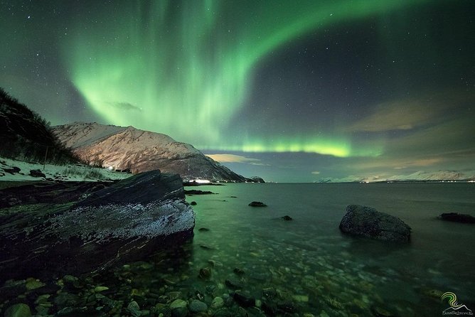 Small-Group Northern Lights Tour from Tromso with Photos - Who will enjoy this Tromsø Northern Lights tour