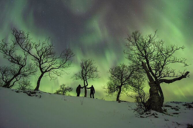 Small Group Quest to find the Northern Lights in Tromsø - Why the chase matters around Tromsø