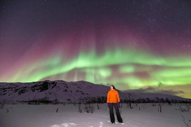 Small Group Tromsø: Northern Lights Chase with Photos and Dinner - The photographer and the real cost of pictures