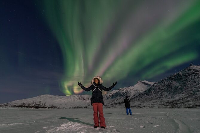 Small Group Tromsø: Northern Lights Chase with Photos and Dinner - Who will get the most from this tour