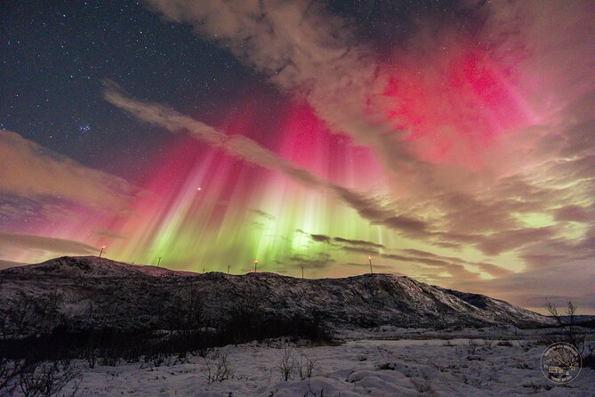 Small Group Van Journey in Search of the Northern Lights - What a typical evening can include