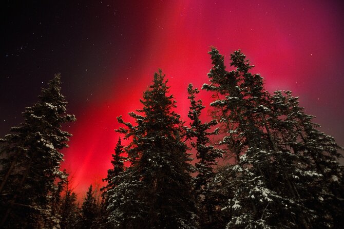 Small Group Yukon Aurora Viewing - A Quiet Yukon Night Instead of a Big Bus