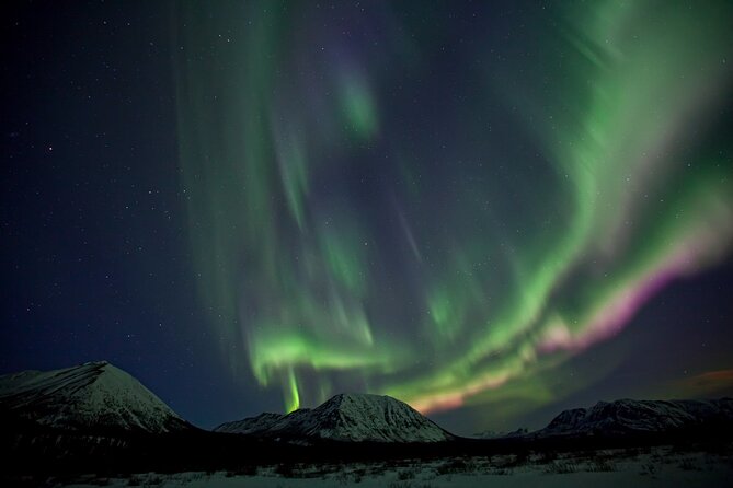 Small Group Yukon Aurora Viewing - The Ride Out From Whitehorse