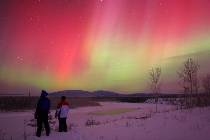 Small Group Yukon Aurora Viewing - Who Will Enjoy This Tour Most