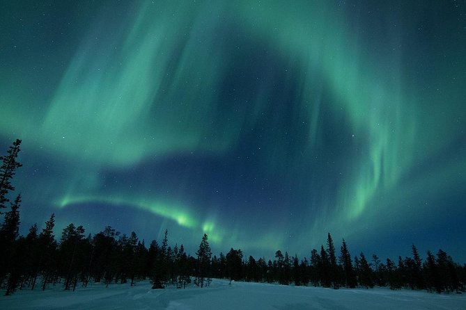 Snowmobile Aurora Expedition with dinner - Key points to know before booking