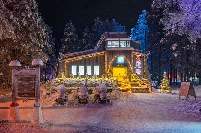 Snowmobile Safari to Search for the Northern Lights - Riding into the Finnish night