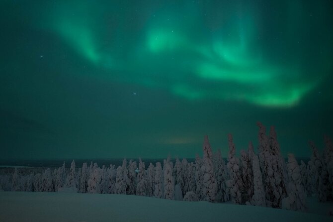 Snowmobile Safari to Search for the Northern Lights - Is $203.04 a fair price?