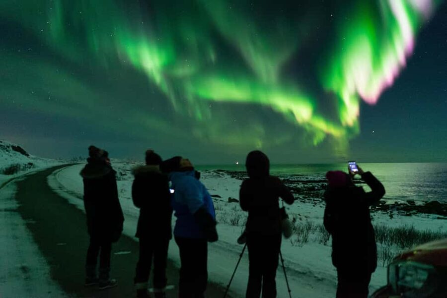 Sortland: Small Group Northern Lights Chase by Car - Following clouds instead of following a script