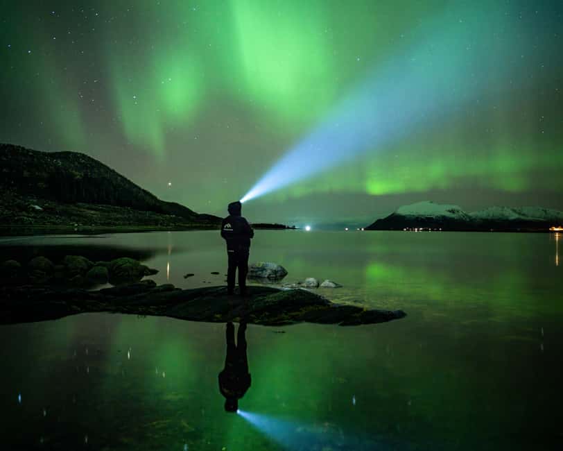 Sortland: Small Group Northern Lights Chase by Car - What the guide adds to the night