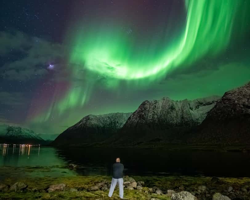 Sortland: Small Group Northern Lights Chase by Car - Seeing the aurora, with realistic expectations