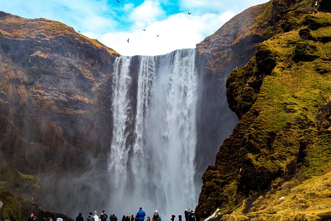 South Coast, Glacier Hike & Northern Lights from Reykjavik - Sólheimajökull: the day’s real adventure