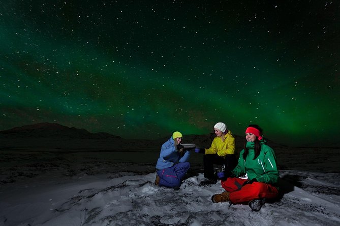 South Coast, Glacier Hike & Northern Lights from Reykjavik - Seljalandsfoss and Skógafoss: two very different waterfalls