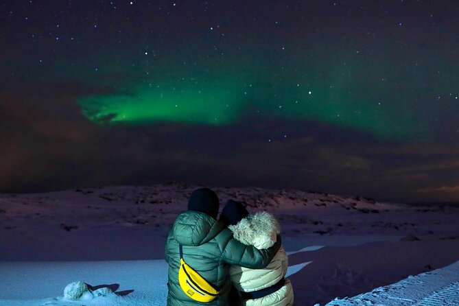 South Iceland Highlights and Northern Lights Combo Full-Day Tour - Skógafoss: a waterfall with two good viewpoints