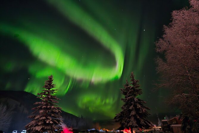 Spectacular Chena Hot Springs Northern Lights Experience - Dinner, campfires, and the practical food question