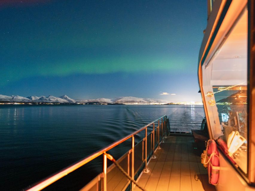Svolvær: Northern Lights and Full Steam Cruise with Tasting - Key points to know before booking