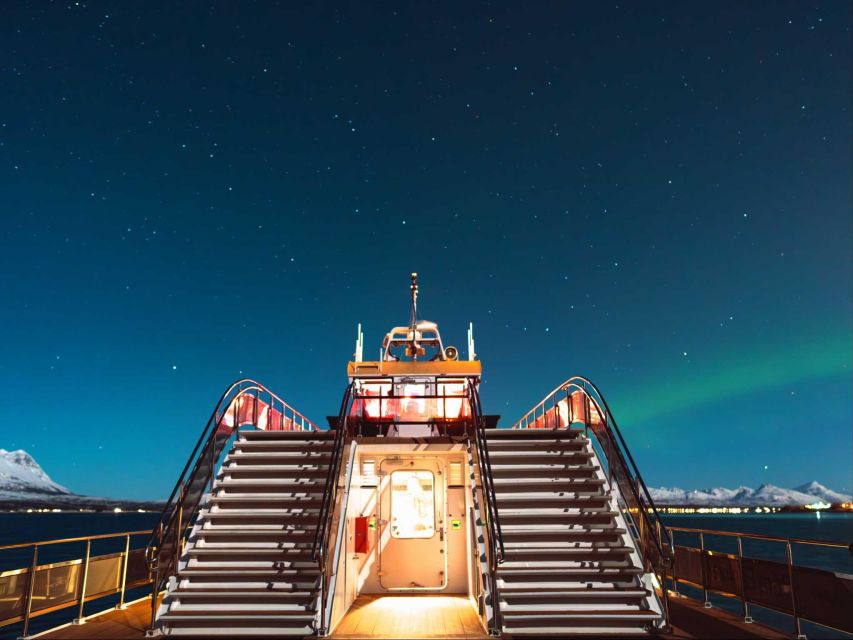 Svolvær: Northern Lights and Full Steam Cruise with Tasting - Should you book the Full Steam cruise?