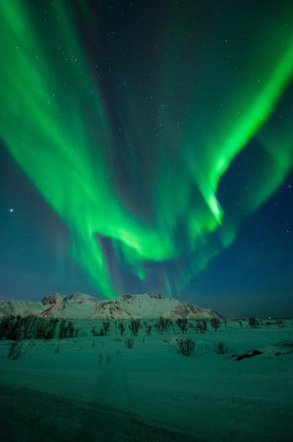Svolvær: Ultimate Aurora Hunt - Staying warm during a long Arctic night