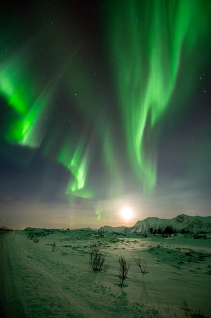 Svolvær: Ultimate Aurora Hunt - Is $173 a fair price?
