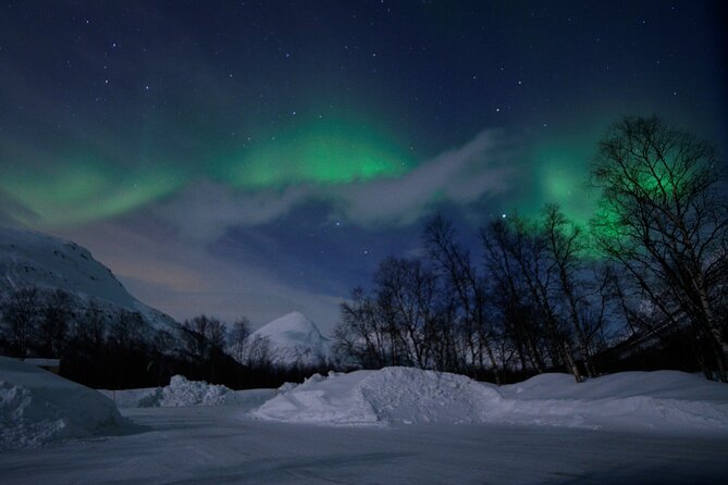 The Aurora Tour - VIP trip for northern lights, aurora borealis - What happens at the Tromsø fjords