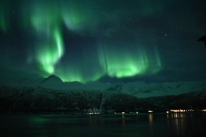 The Aurora Tour - VIP trip for northern lights, aurora borealis - Campfire food, drinks, and Arctic clothing