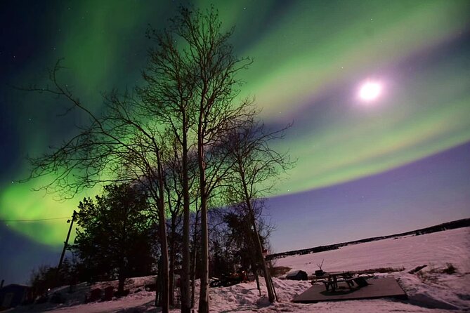 The Best Aurora Tour - Warm drinks, snacks, and a clean washroom
