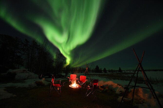 The Best Aurora Tour - Photography help when the lights appear
