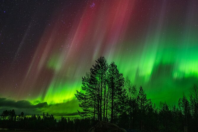 The Ultimate Guaranteed Aurora Hunt - Clothing, snacks, and the cold