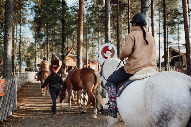 Tour to Aurora Horses Farm with Charming Finnhorses - A small family business with a relaxed setup